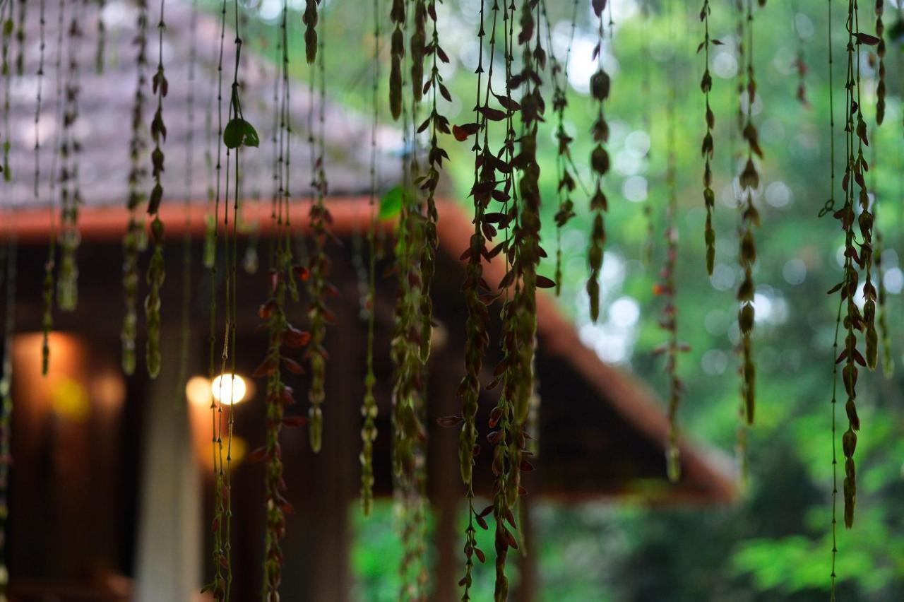 Swasthi Serviced Villa Kanjirapalli Bagian luar foto